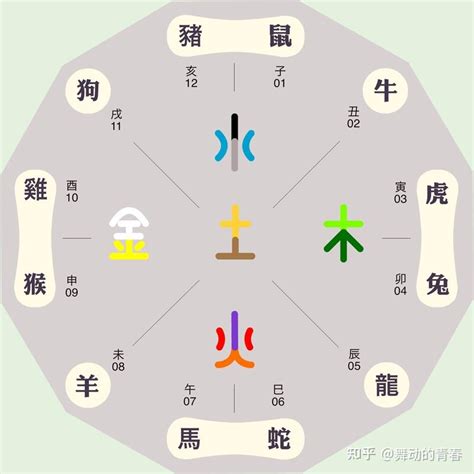 土蛇五行|屬蛇人的五行是什麼？從五行看生肖蛇財運！